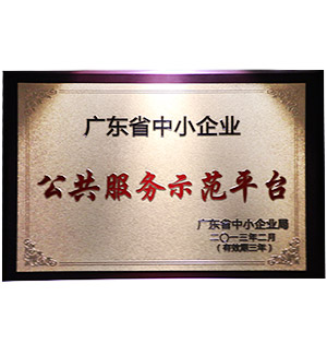 公共服务示范平台