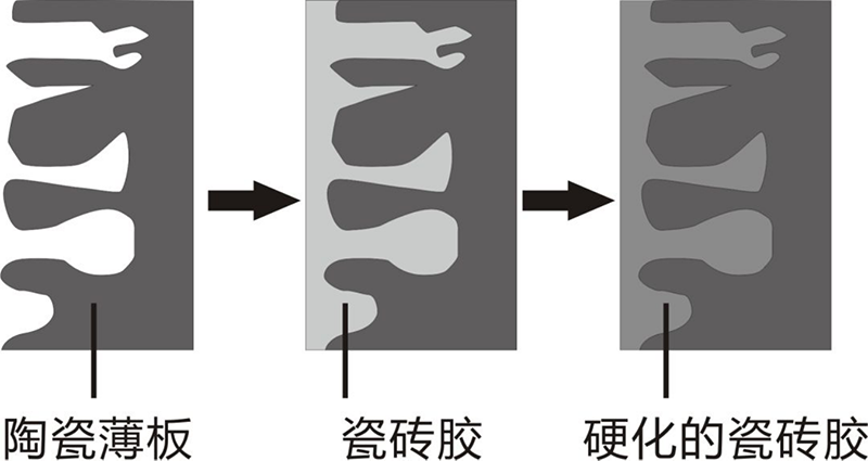 【BO仔学堂】建筑装修铺贴，瓷砖胶更配哦！